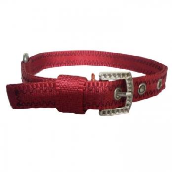 Pets Friend Nylon Padded Color Collar for Dog 